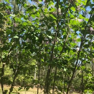 Meet your Posher, Patty